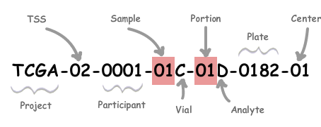 TCGA Codes